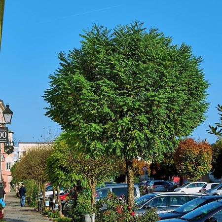 Ferienwohnung Tittmoning Zwischen Salzburg, Burghausen Und Oesterreich מראה חיצוני תמונה