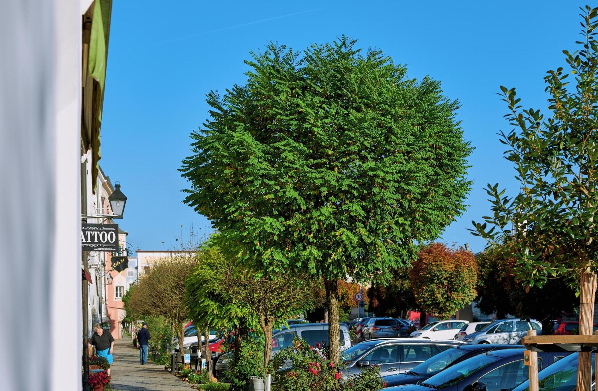 Ferienwohnung Tittmoning Zwischen Salzburg, Burghausen Und Oesterreich מראה חיצוני תמונה