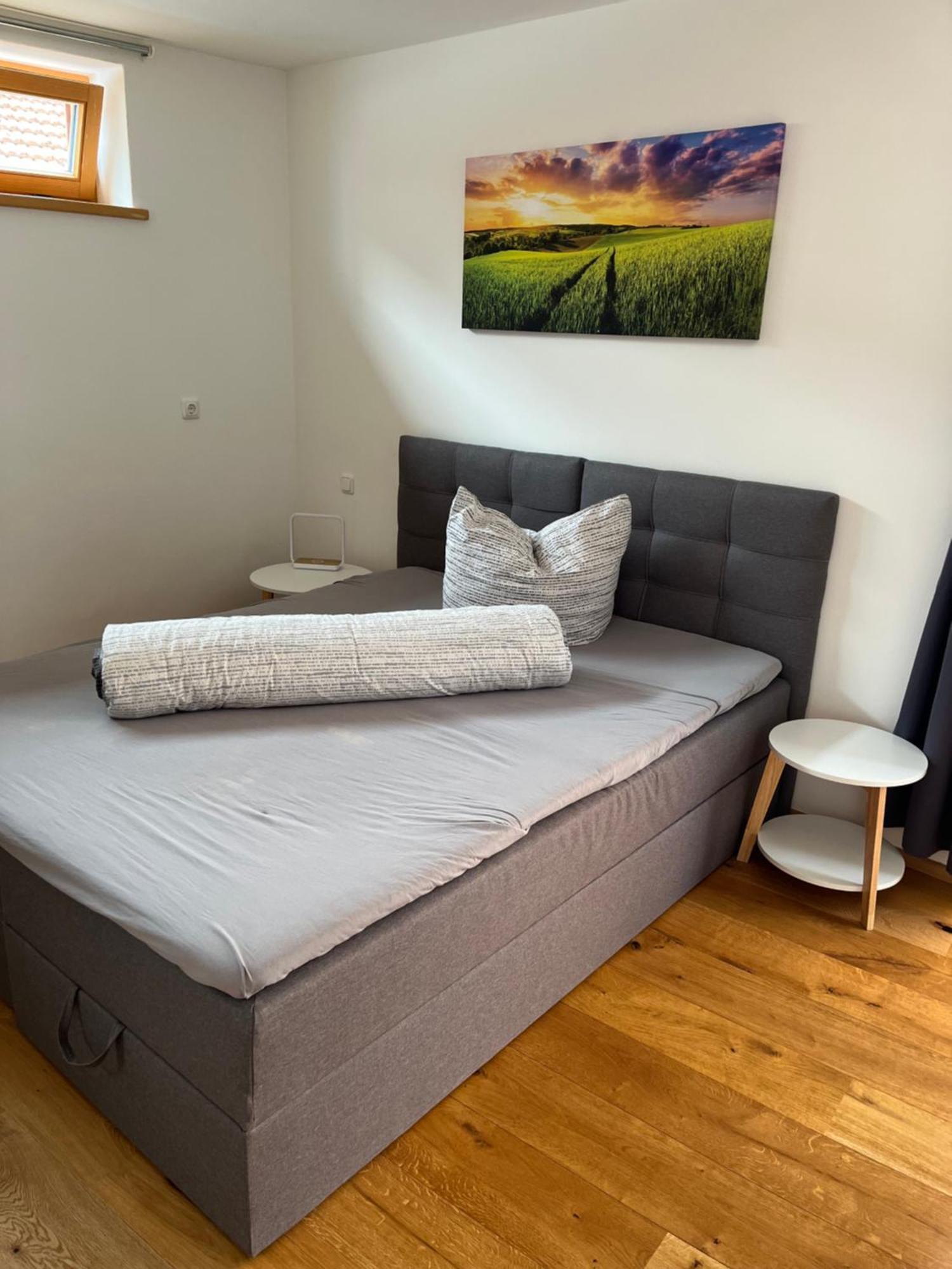 Ferienwohnung Tittmoning Zwischen Salzburg, Burghausen Und Oesterreich מראה חיצוני תמונה